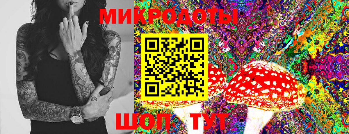 Ялта  Псилоцибиновые грибы Cubensis  Вход с VPN 